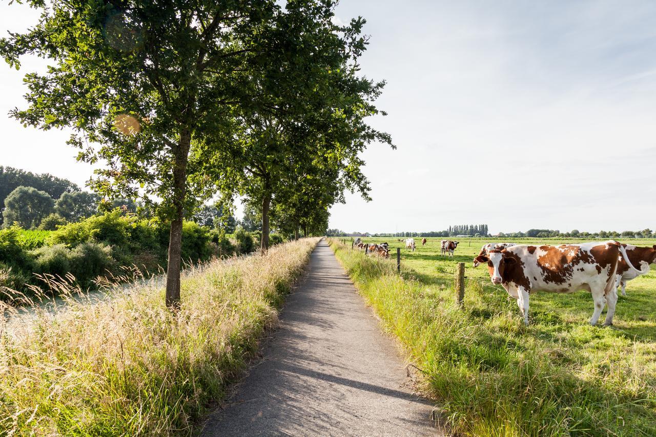 B&B De Lievde Lievegem Exteriér fotografie